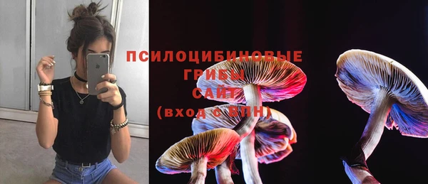 хмурый Богородицк