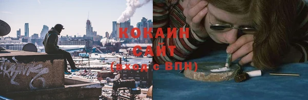 apvp Белокуриха