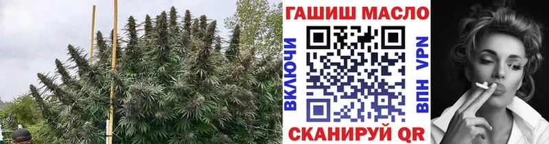 darknet Telegram  Велиж  Дистиллят ТГК Wax 
